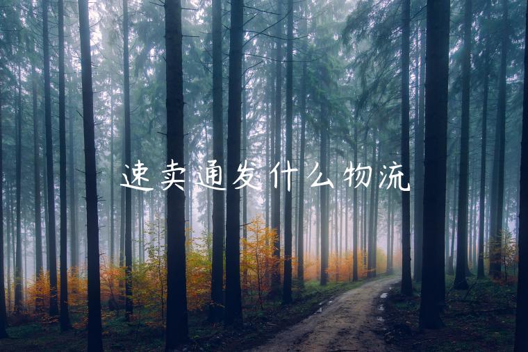 速賣通發(fā)什么物流